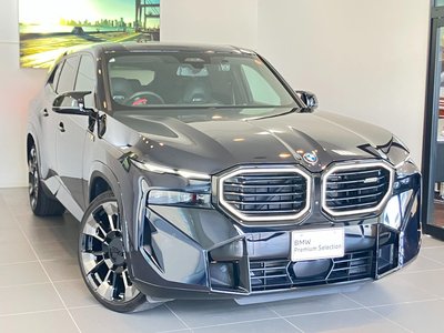 2023 BMW XM thumbnail 47