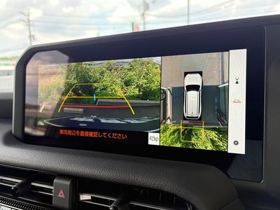 2025 Toyota LAND CRUISER 250 照片 31