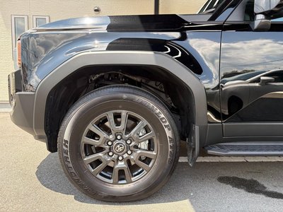 2025 Toyota LAND CRUISER 250 照片 13