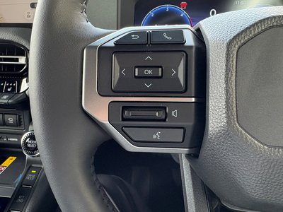 2025 Toyota LAND CRUISER 250 照片 25