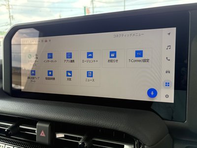 2025 Toyota LAND CRUISER 250 照片 33