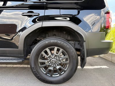 2025 Toyota LAND CRUISER 250 照片 15
