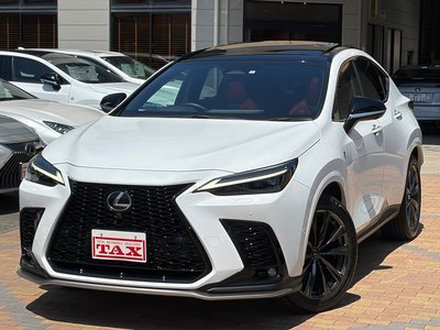 2023 Lexus NX 照片 1