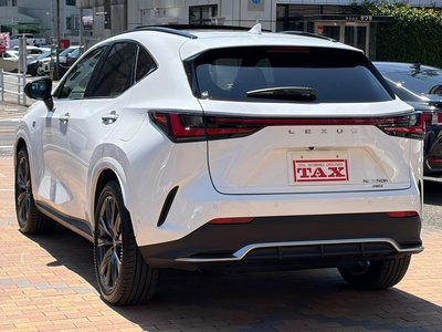 2023 Lexus NX 照片 15