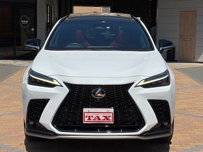2023 Lexus NX 照片 13