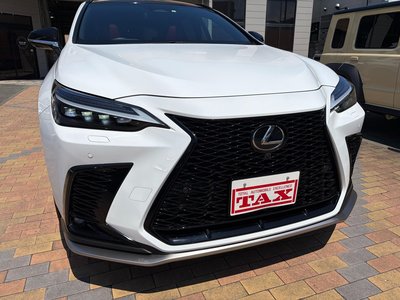 2023 Lexus NX 照片 19