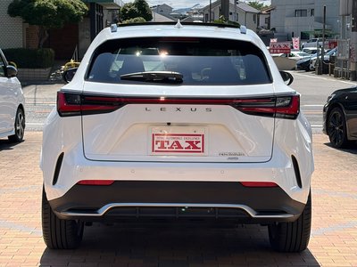 2023 Lexus NX 照片 16