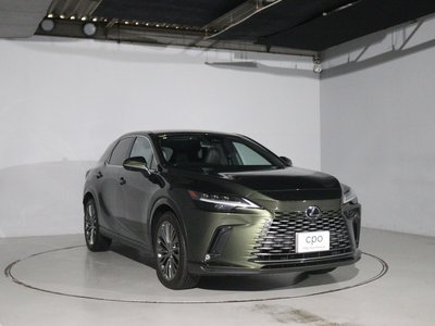2024 Lexus RX — фото 9