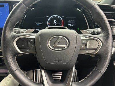 2025 Lexus RX 缩略图 46