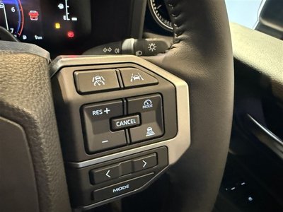 2026 Toyota LAND CRUISER 250 照片 14
