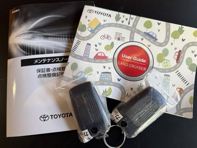 2026 Toyota LAND CRUISER 250 照片 36