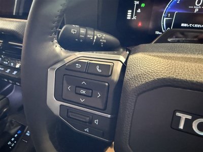 2026 Toyota LAND CRUISER 250 照片 13