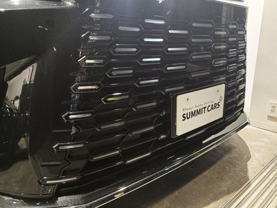 2024 Lexus LM 照片 49