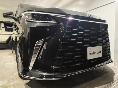 2024 Lexus LM 照片 1