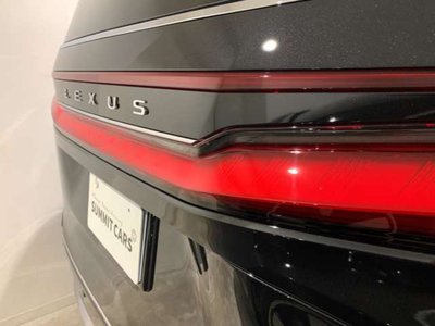 2024 Lexus LM 照片 12