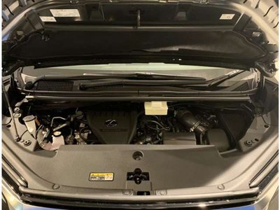 2024 Lexus LM 照片 15