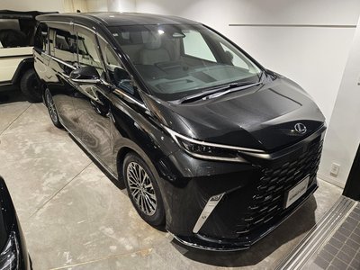 2024 Lexus LM 照片 5