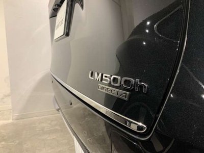 2024 Lexus LM 照片 14