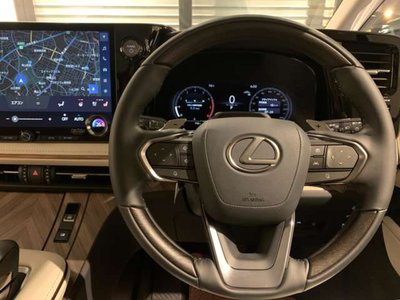 2024 Lexus LM 照片 19
