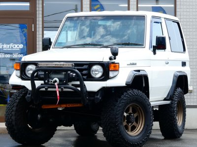 1999 Toyota LAND CRUISER 70 照片 3