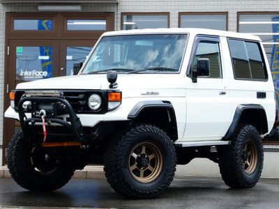 1999 Toyota LAND CRUISER 70 照片 2