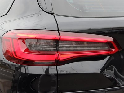 2020 BMW X5 M 照片 18