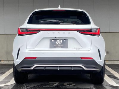 2024 Lexus NX — фото 14