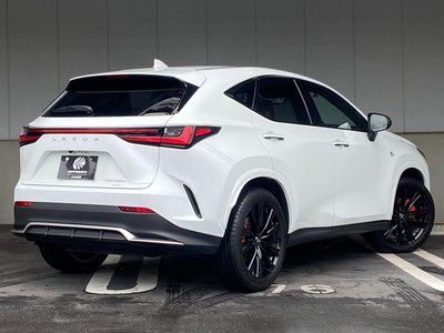 2024 Lexus NX — фото 13