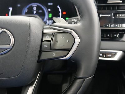 2023 Lexus RX thumbnail 19