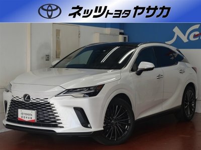 2023 Lexus RX photo 1
