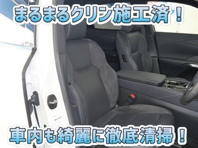 2023 Lexus RX photo 6
