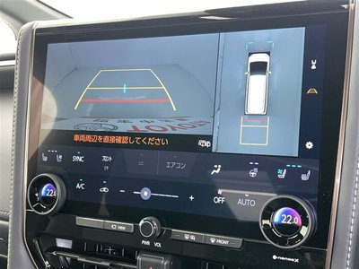 2025 Toyota ALPHARD 照片 14