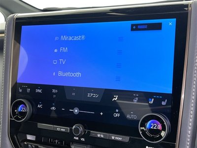 2025 Toyota ALPHARD 照片 13