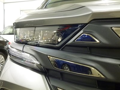 2025 Toyota VELLFIRE 照片 24