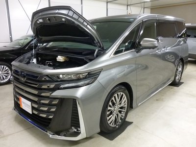 2025 Toyota VELLFIRE 照片 19