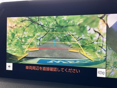 2025 Toyota LAND CRUISER 250 — фото 13