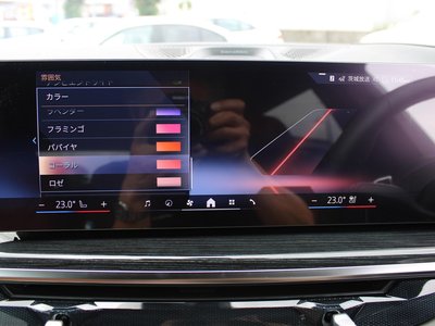 2025 BMW X7 thumbnail 45