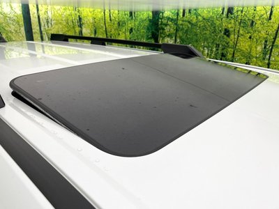 2024 Toyota LAND CRUISER 250 photo 3
