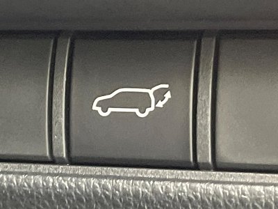 2024 Toyota LAND CRUISER 250 thumbnail 60