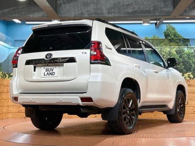 2021 Toyota LAND CRUISER PRADO — фото 14