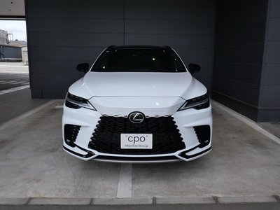2023 Lexus RX photo 5