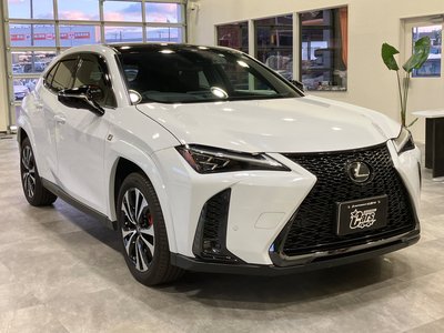 صورة 133 لـ 2023 Lexus UX