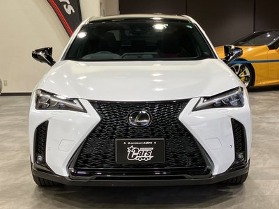 صورة 29 لـ 2023 Lexus UX