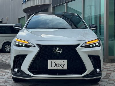 صورة مصغرة 19 لـ 2025 Lexus NX
