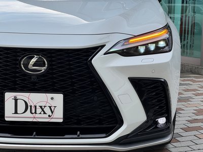 صورة مصغرة 22 لـ 2025 Lexus NX