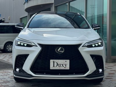 صورة مصغرة 20 لـ 2025 Lexus NX
