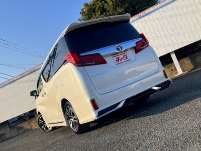 2023 Toyota ALPHARD — миниатюра 13