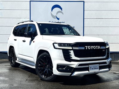 2023 Toyota LAND CRUISER 300 photo 1