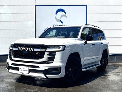2023 Toyota LAND CRUISER 300 thumbnail 45