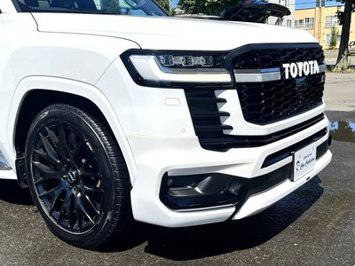 2023 Toyota LAND CRUISER 300 thumbnail 49